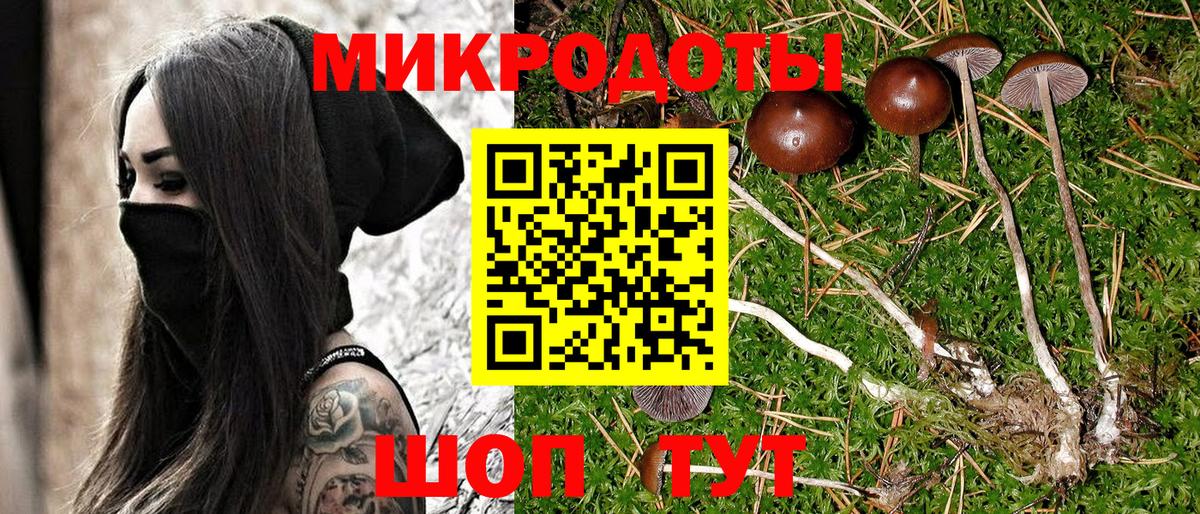 Псилоцибиновые грибы мицелий  Вход с VPN  Галлюциногенные грибы GOLDEN TEACHER  Керчь 