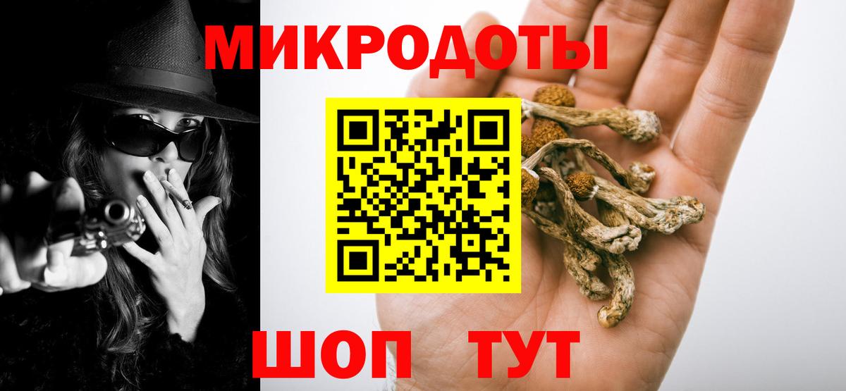 Галлюциногенные грибы Psilocybe Керчь